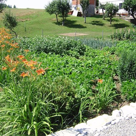 House Osana Hotel Grabovac  Bagian luar foto