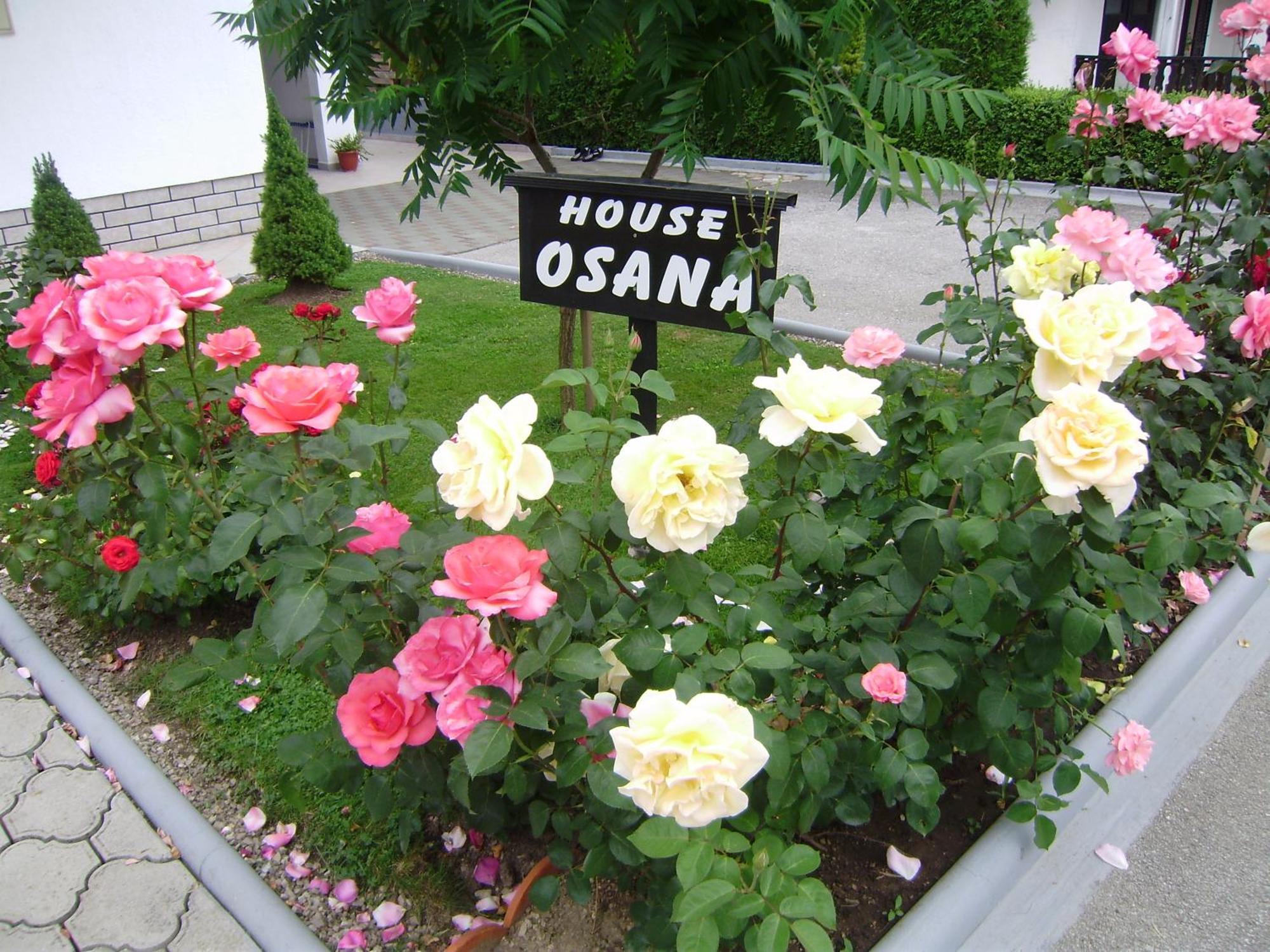 House Osana Hotel Grabovac  Bagian luar foto