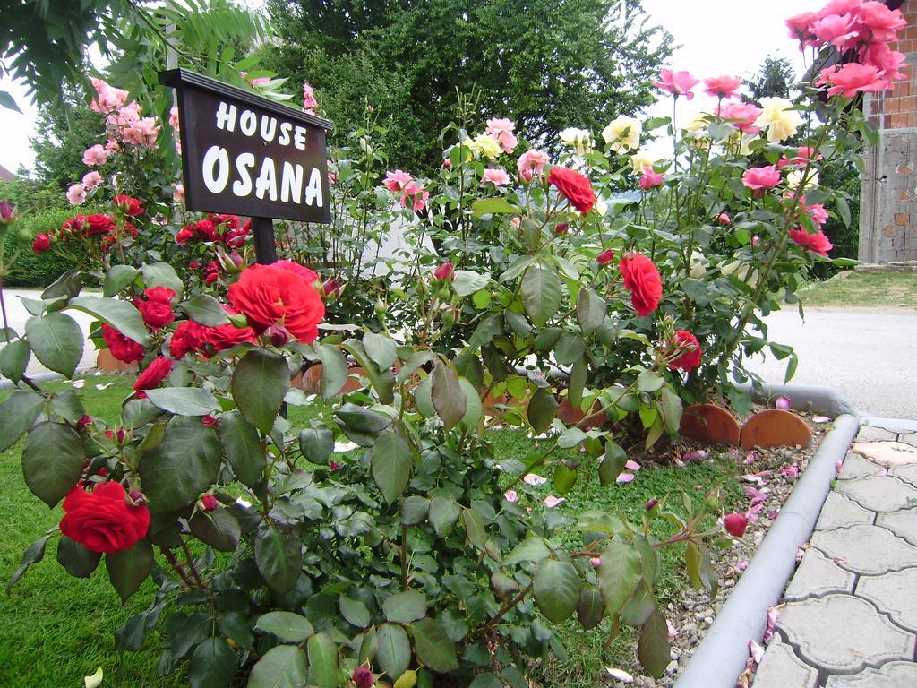 House Osana Hotel Grabovac  Bagian luar foto
